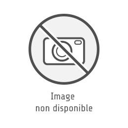 GS27 RENOVATEUR ALU ET CHROMES 250ML